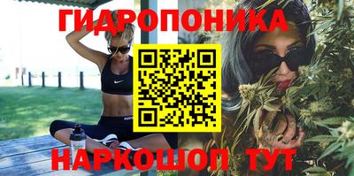 ГАЛЛЮЦИНОГЕННЫЕ ГРИБЫ Тара