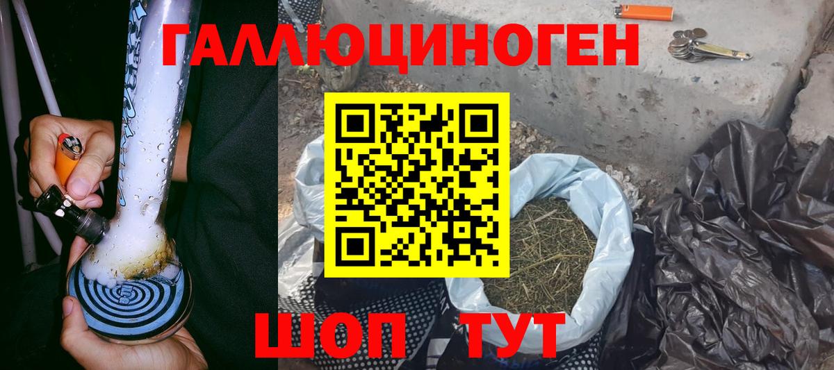 Галлюциногенные грибы Psilocybine cubensis  Псилоцибиновые грибы прущие грибы  Шебекино  Вход с VPN 